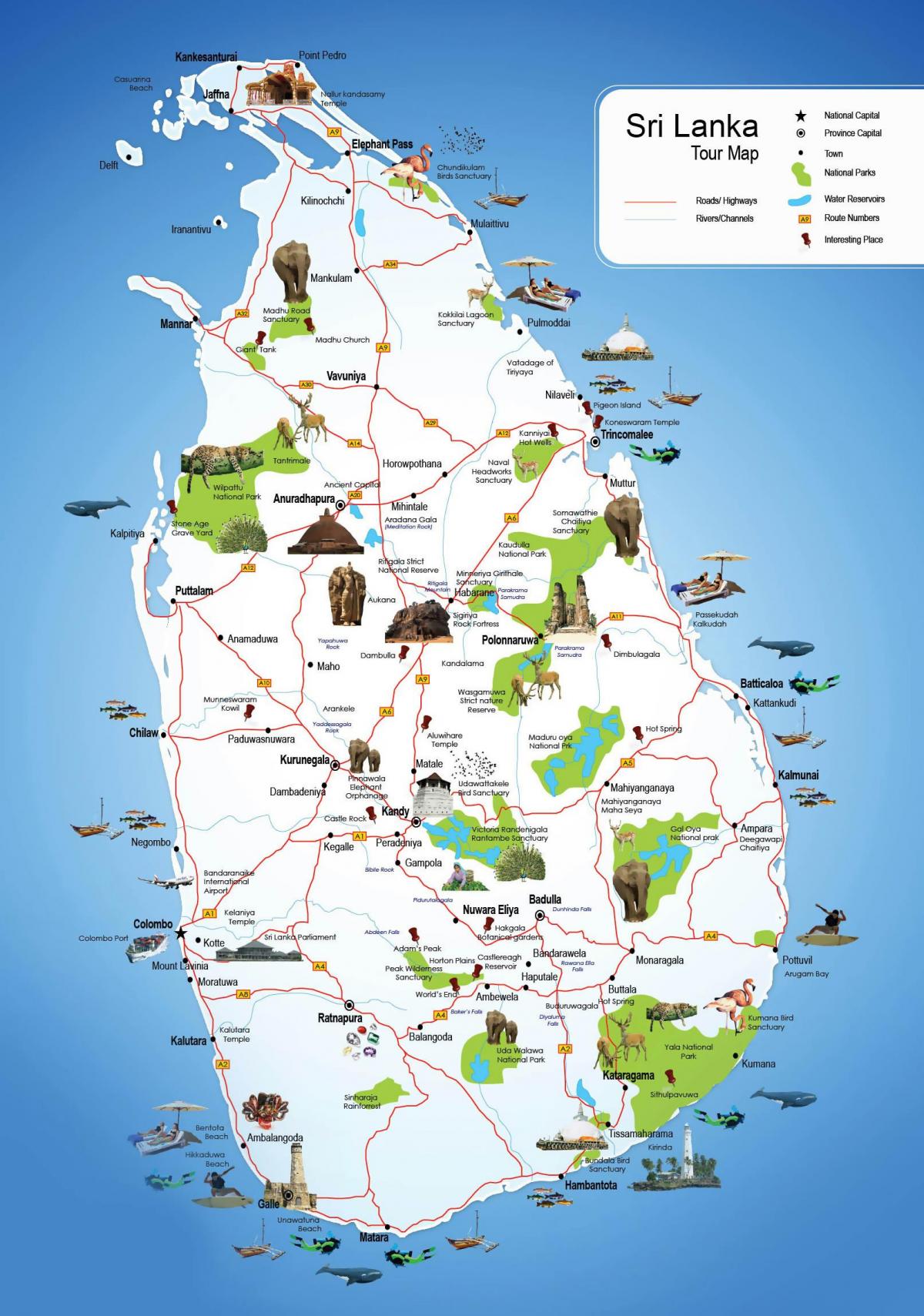 аялал жуулчлалын газрууд Шри-Ланкад зураг