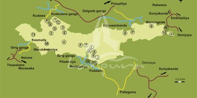 Зураг sinharaja Шри Ланка