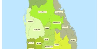 Дүүргийн Шри-Ланкад зураг